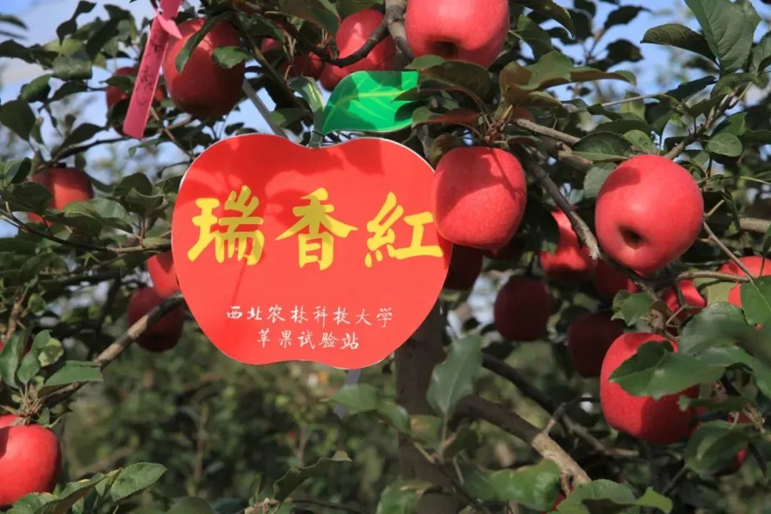 公司动态3